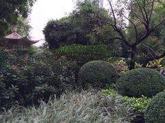 -晓港公园