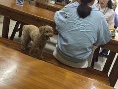 -阊门姚记豆浆(旧学前直营店)