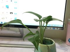 -初八专业级手工DIY陶艺社·户外研学·创意DIY首饰