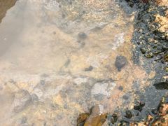 -阿玲海鲜面(高亭镇星河路店)