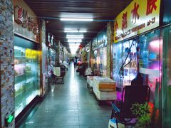 -中环花鸟鱼虫市场