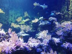 -北海·海洋之窗