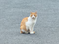 -真利味·脊骨火锅·正宗韩国料理(韩乐坊店)