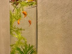 -涟LIAN·泰式按摩·MASSAGE·SPA(深业上城店)