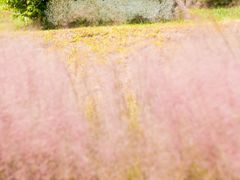 -光明小镇欢乐田园