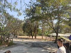 -西双版纳傣族园