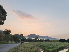 -径山花海
