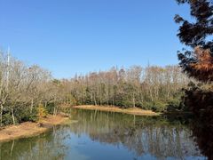 -上海海湾国家森林公园