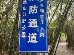 -燕晗山郊野公园