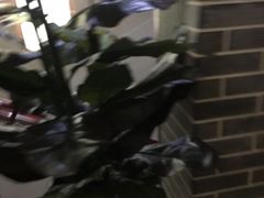 -忠顺斋易州印象烤鸭店(东关新村店)