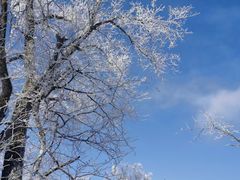 -中旅松花湖滑雪场