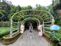 -瑞丽独树成林风景区