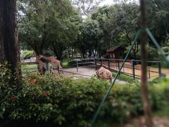 -广州动物园
