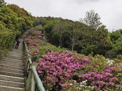 -梧桐山风景名胜区