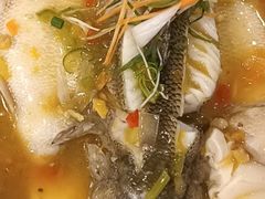 -金龙寨(龙城路店)