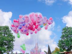 -上海迪士尼度假区