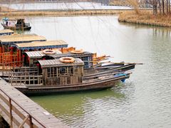 -溱湖国家湿地公园