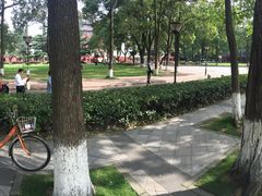 -四川大学(望江校区)