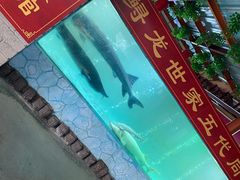 -年辉渔村