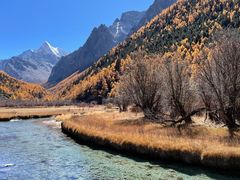 -稻城亚丁景区-冲古草甸