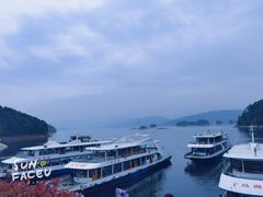 -千岛湖东南湖区