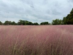-军山湖云水间生态农业旅游景区