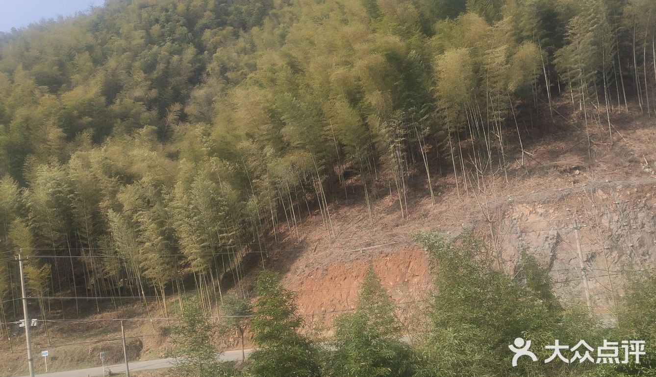 大节老者难难自己到眼神看穿了天地，直达无数的背面