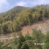大节老者难难自己到眼神看穿了天地，直达无数的背面