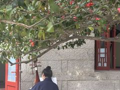 -青岛崂山太清宫