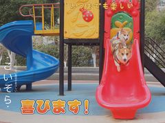 -西北湖绿化广场