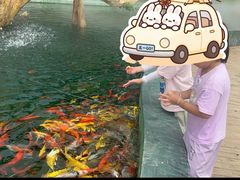 -荷兰花海