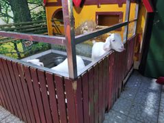 -上海大自然野生昆虫馆(东方明珠·爬宠昆虫探索中心)
