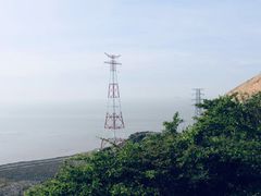 -洋山深水港
