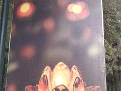 -龙口南山旅游景区