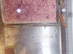 -麦雪尔甜品·生日蛋糕(新街口旗舰店)