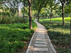 -秀水公园
