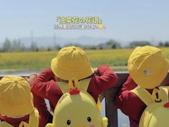 -Ababy安彼儿童成长中心(东方润园店)