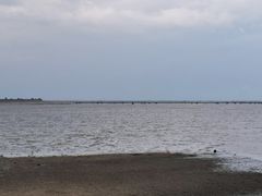 -北海金海湾红树林生态旅游区