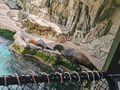 -香港海洋公园