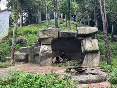 -中国大熊猫保护研究中心雅安碧峰峡基地