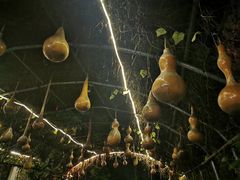 -野三坡刘家河高山漂流