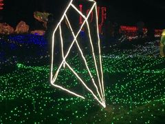 -杭州湾海上花田景区