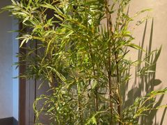 -百富源·海鲜辽菜(张士店)