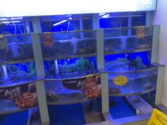 -七欣天香辣蟹火锅(上海银亿滨江店)