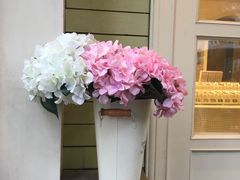 景观位-苏小糖(鼓浪屿三丘田花园店)