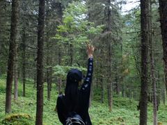 -硗碛藏寨·神木垒景区