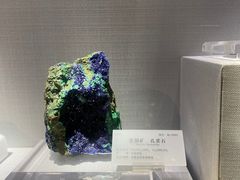 -湖南省地质博物馆