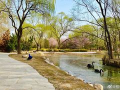 -北京麋鹿生态实验中心