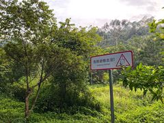 -田心森林公园