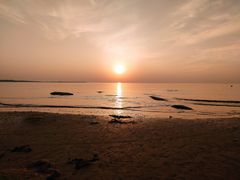 -日照海滨国家森林公园